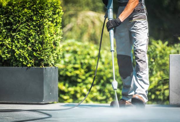 Best Roof Washing  in Frankton, IN