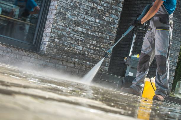 Best Fence Cleaning  in Frankton, IN