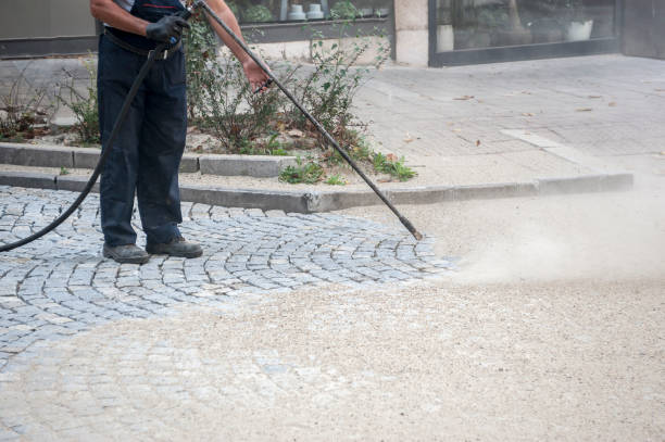 Animal Enclosure Cleaning in Frankton, IN