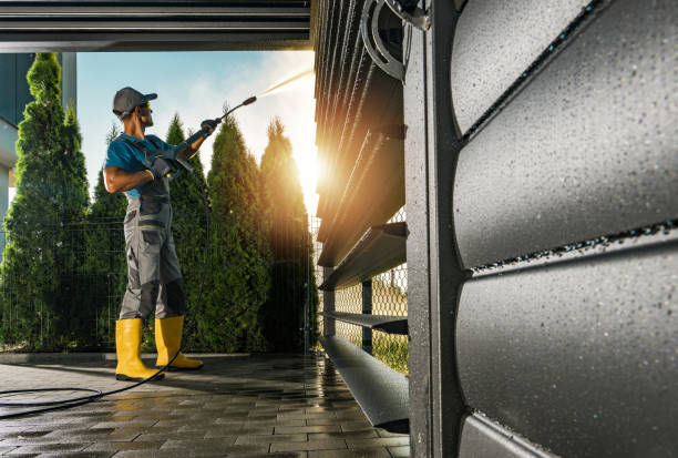 Best Soft Washing  in Frankton, IN